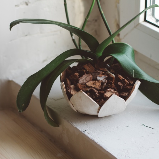 Лотос - горшок для орхидеи
